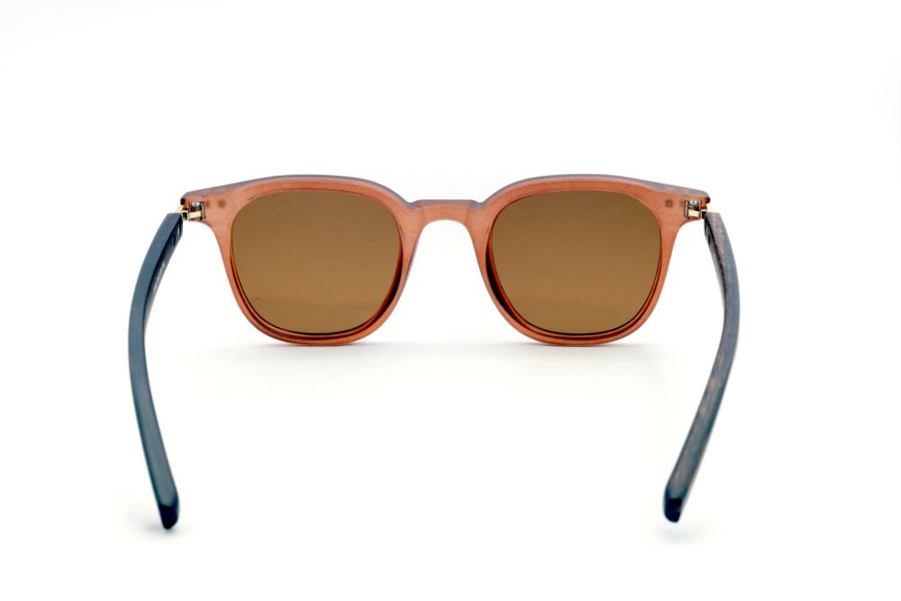 Brown Men Rim Polarized Wayfarer